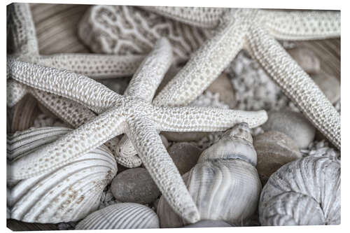 Lærredsbillede Beach treasures