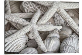 Gallery Print Strandschätze