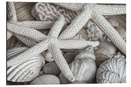 Magnettafel Strandschätze