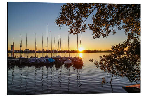 Stampa su alluminio Sunset on the river Elbe in Hamburg