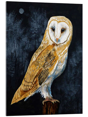 Acrylic print Barn Owl