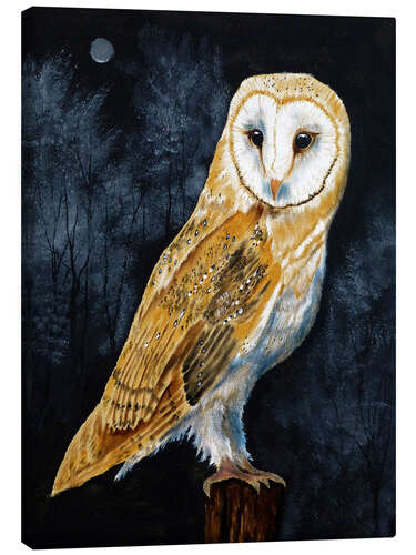 Canvas print Barn Owl