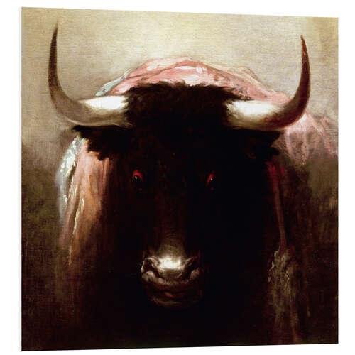 Foam board print Bold bull