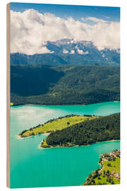 Hout print Walchensee from above