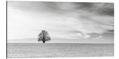 Cuadro de aluminio LONELY TREES