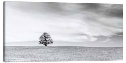 Lienzo LONELY TREES