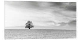 Foam board print LONELY TREES