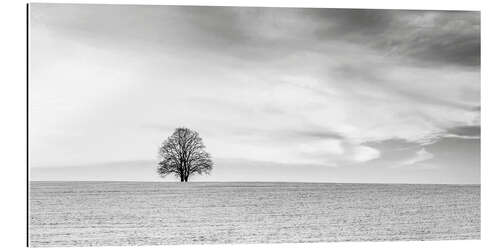 Gallery print LONELY TREES