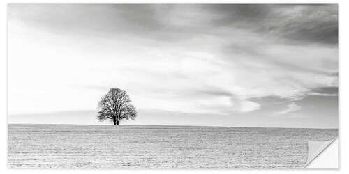 Selvklebende plakat LONELY TREES