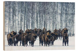 Holzbild Bison - Polen