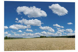 Foam board print Summer sky over cereal field