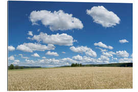 Gallery print Summer sky over cereal field