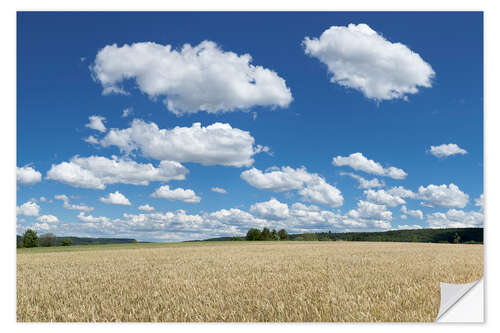 Wall sticker Summer sky over cereal field