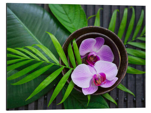 Aluminiumsbilde Tropical Zen Orchid