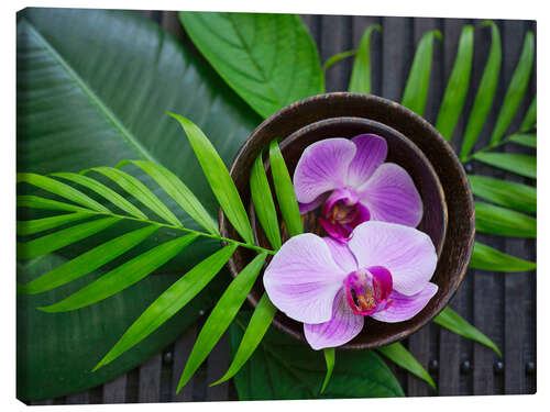 Leinwandbild Tropical Zen Orchid