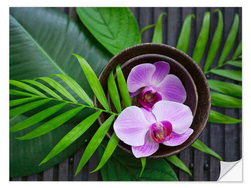 Sticker mural Tropical Zen Orchid