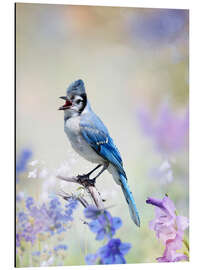 Stampa su alluminio Blue Jay Perched In The Garden