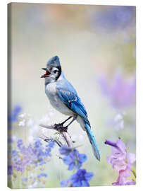 Canvas print Blue Jay Perched In The Garden