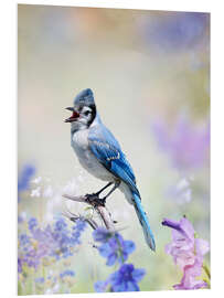 Foam board print Blue Jay Perched In The Garden