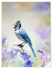 Sticker mural Blue Jay Perched In The Garden