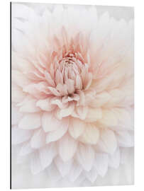 Magnettafel Rosafarbene Dahlie