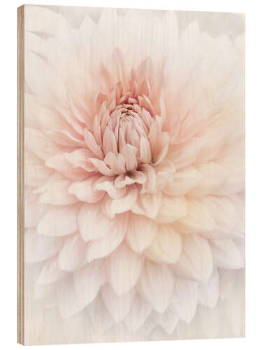 Hout print Roze dahlia