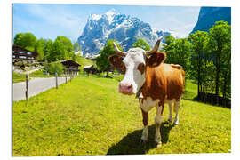 Magnettafel Fräulein Weidekuh