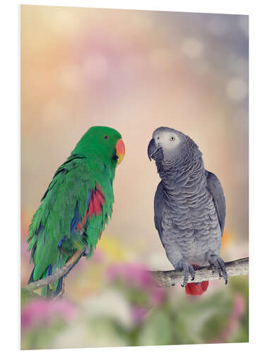 Foam board print Graupapagei and precious parrot on branches