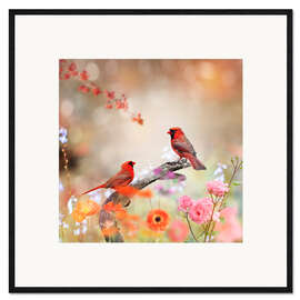 Framed art print Rote Kardinale im Garten