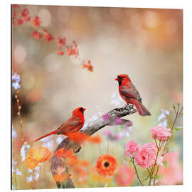 Magnettafel Rote Kardinale im Garten