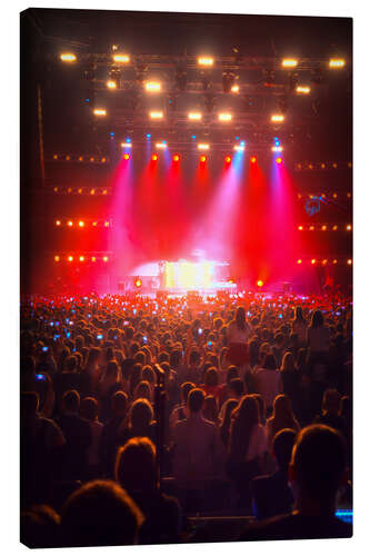 Canvas-taulu concert atmosphere