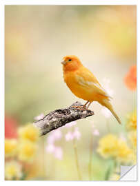 Wall sticker yellow canary