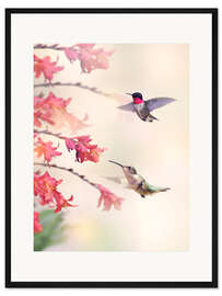 Gerahmter Kunstdruck Kolibris und Blüten