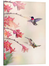 Magnettafel Kolibris und Blüten