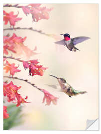 Muursticker Hummingbirds and flowers