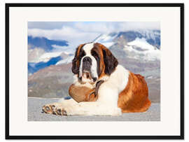 Gerahmter Kunstdruck Bernhardiner Rettungshund