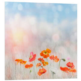 Foam board print Summer poppy