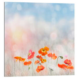 Tableau en plexi-alu Summer poppy