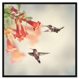 Gerahmter Kunstdruck Schwebende Kolibris