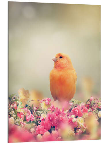 Aluminium print Yellow Bird Perches In Flower Garden