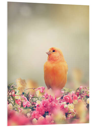 Foam board print Yellow Bird Perches In Flower Garden