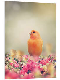 Foam board print Yellow Bird Perches In Flower Garden