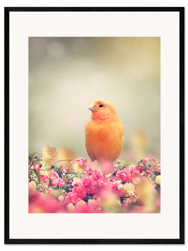 Kehystetty taidepainatus Yellow Bird Perches In Flower Garden