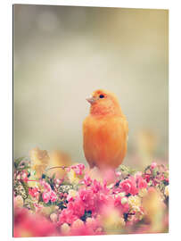 Gallery print Yellow Bird Perches In Flower Garden