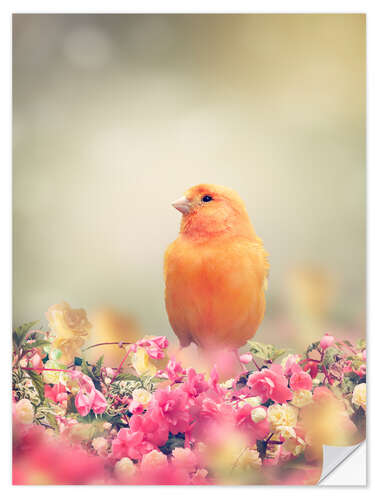 Wall sticker Yellow Bird Perches In Flower Garden