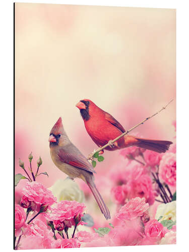 Aluminium print Red cardinal in sea of flowers