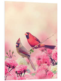 Foam board print Red cardinal in sea of flowers