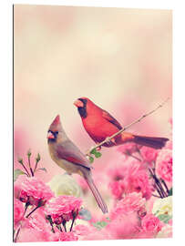 Gallery print Red cardinal in sea of flowers