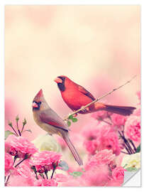 Sisustustarra Red cardinal in sea of flowers