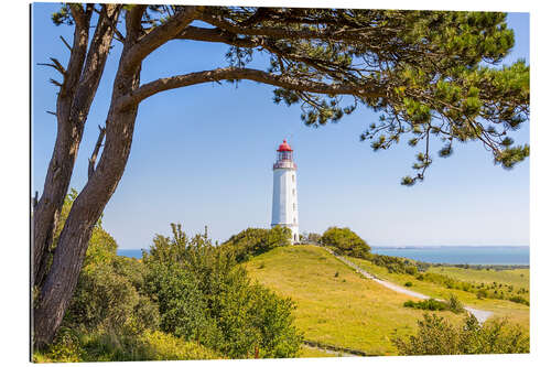 Gallery print lighthouse Dornbusch at Hiddensee